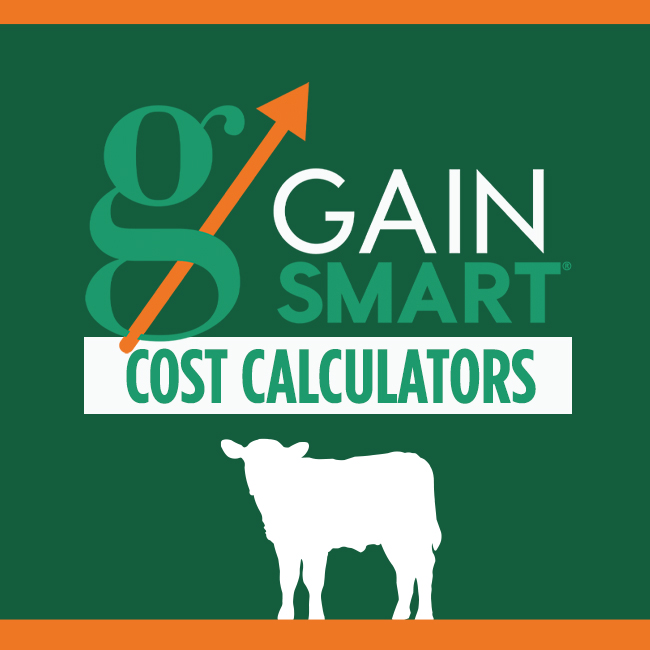 Gestation Calculator