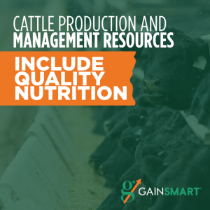 cattle production and management