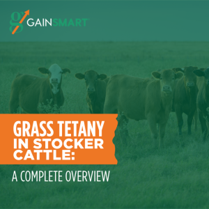 Grass Tetany